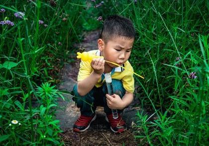 《医生的精进》免费阅读