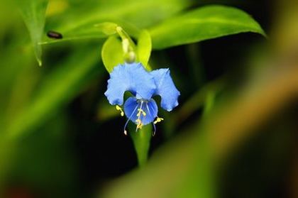 五花肉的10种家常吃法